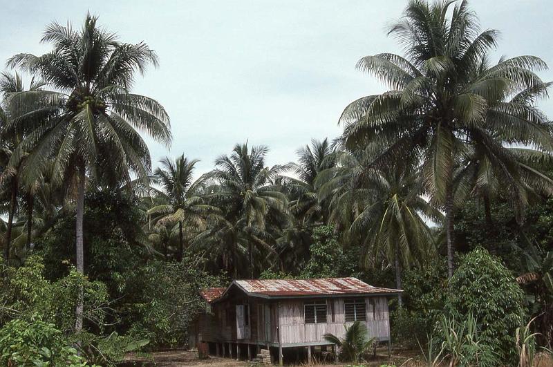 RWT 0112 110-33 Malaysia.jpg